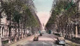 I viali alberati voluti dai Savoia. E Torino diventò piccola Parigi
