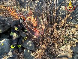 Incendio nel sottobosco di Condove, intervengono i vigili del fuoco [FOTO]
