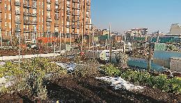 Orti urbani sui tetti piatti dei palazzi per riqualificare gli spazi dimenticati