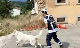 Allestito il “campo catastrofe”: si addestrano i cani salva vite
