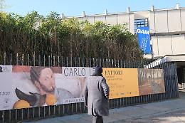 Alla Gam la mostra "Carlo Levi. Viaggio in Italia: luoghi e volti" [FOTO]