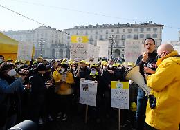 Coldiretti, manifestazione con mucche e trattori in piazza a Torino [LE FOTO]