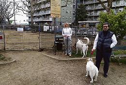 Non ci sono soldi per riparare le buche: la Circoscrizione chiude tre aree cani