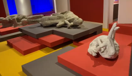 A Palazzo Madama la mostra "Invito a Pompei" [IL VIDEO]