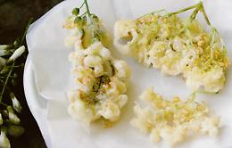 Frittelle di acacia e sambuco, la vera tradizione piemontese