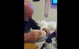 Che tenero micetto, non la smette di far coccole