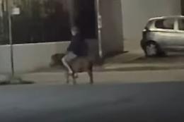 A spasso per la città su di un pony