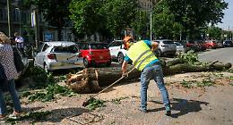 Torino, paura in corso Re Umberto: albero cade sulle auto in sosta, nessun ferito [LE FOTO]