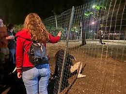 Assalto all’Eurovillage del Valentino: tutto esaurito, centinaia restano fuori [LE FOTO]
