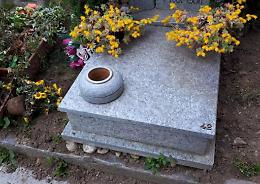 Cinghiali a spasso al cimitero: buche tra le tombe dei defunti