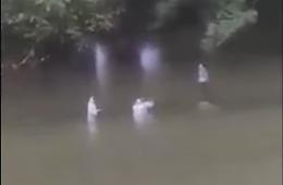 Durante la cerimonia spuntano due angeli