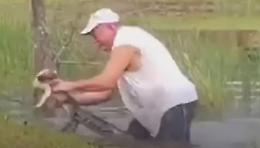 Tira fuori il cagnolino dalla bocca di un coccodrillo