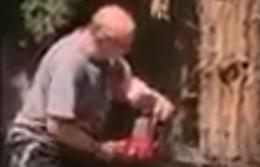 Il taglialegna fa cadere un abete vicino casa