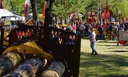 «Il legno per sostituire il gas»: a Oulx torna la fiera del bosco