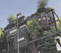 Il condominio foresta a San Salvario: la casa dei sogni in mezzo agli alberi