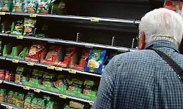 I prezzi al consumo crescono ancora: «Fino al 38,3% in più rispetto al 2021»