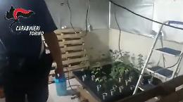 In casa un hub della droga: arrestato 25enne di Bussoleno [VIDEO]