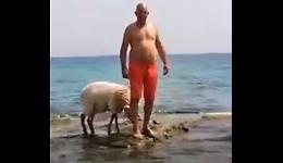 Al mare con la pecora: lo segue dappertutto