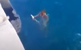 Gli si stacca un pesce dalla lenza: si tuffa e lo recupera a mani nude