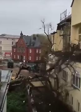 Motosega al lavoro, ma l'albero si spezza e si abbatte sul palazzo
