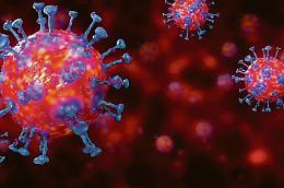La banca dei virus è a Torino: oltre 20mila microrganismi