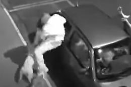 Aggrediti dai cani randagi, si mettono in salvo così