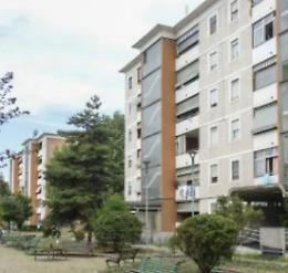 Gli inquilini lasciano l’alloggio: occupato dopo pochi giorni