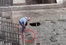 Il pescatore va a "caccia" di anguille...nei tombini!!