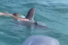 Donna si tuffa in mare e nuota con un pesce luna enorme