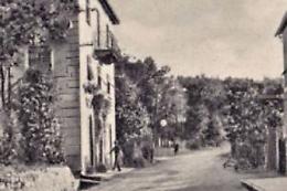 I grandi gialli del Piemonte