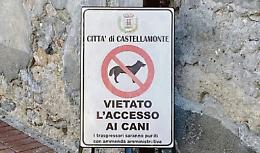«E’ vietato l’ingresso ai cani»: cartello “fantasma” al cimitero