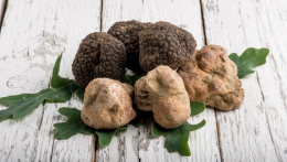 Tra fonduta e uova al tegamino: come gustare un ottimo tartufo