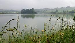 Ecco i soldi per salvare il lago: acqua più alta e nuovi arbusti