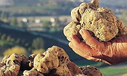 Tra zucca, tartufi, aglio e bagna càuda: ecco i sapori dell’autunno piemontese
