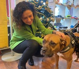 Piemonte pioniere: nascono gli “ambulatori veterinari sociali”