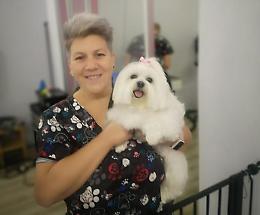 Alla “Toelettatura Torino” di Roberta, bellezza e benessere per i nostri amici a quattro zampe