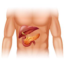 Molinette, con i fondi del Pnrr il vaccino per la cura del tumore del pancreas
