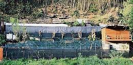 Casette e palafitte di due piani nella baraccopoli sul Sangone