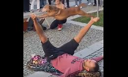 Il cane equilibrista e gli acrobati: l'esibizione manda tutti in visibilio