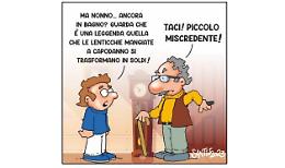 La vignetta