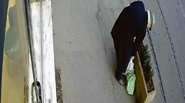 In via Fabrizi c’è un ladro di fiori: «Ruba tutte le nostre piantine»