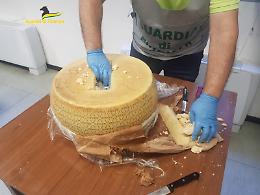 La coca era nascosta nel Grana: maxi sequestro e dieci in manette