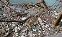 Dopo il Po piange anche la Dora: lungo le sponde una discarica