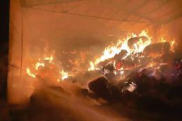 In provincia torna l’incubo dei piromani: la notte di fuoco devasta campi e fienili