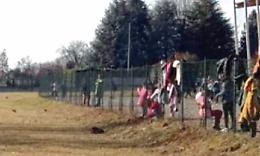 Invasione di nutrie nella scuola: gabbie e trappole per fermarle