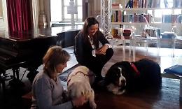 Cani e gatti “medici” anche al parco Vallere