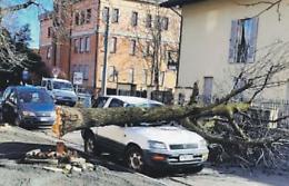 Allerta per il forte vento in Piemonte: raffiche fino ai 100 all'ora 