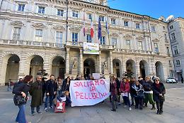 L’ospedale della rabbia al parco della Pellerina: «Hanno sfalsato i dati»