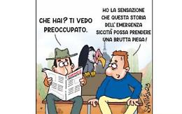 La vignetta