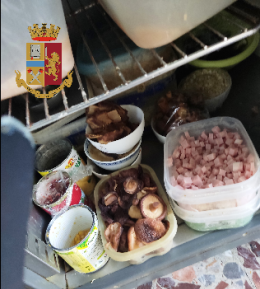 Topi e scarafaggi nei locali, chiusi un ristorante e un kebabbaro
